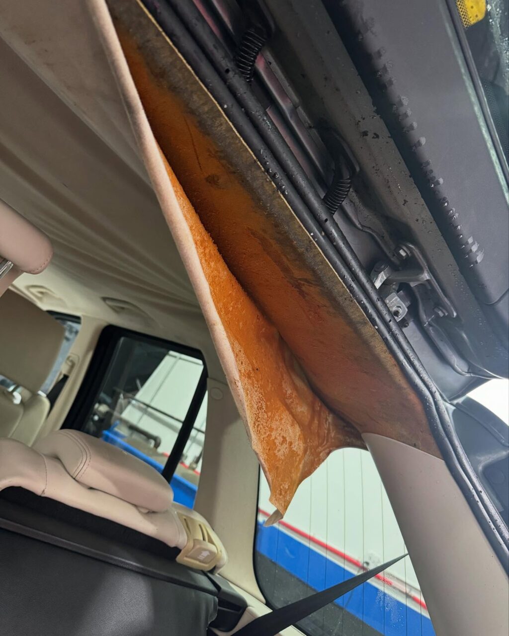 Instagram post from blacktip_detailing. This post is in position 0.