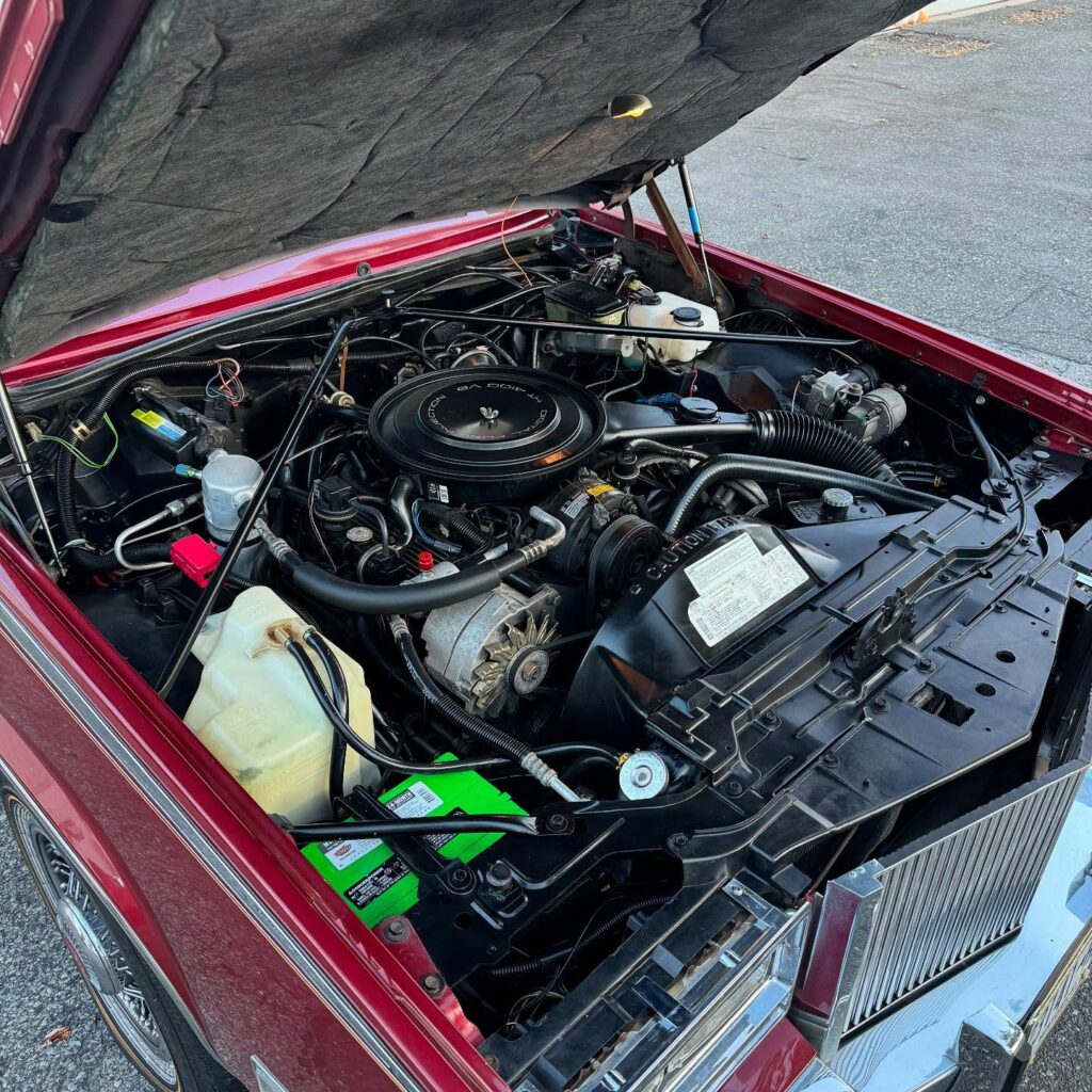 Instagram post from blacktip_detailing. This post is in position 3.